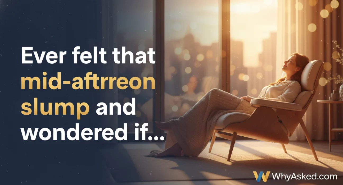 Why-Do-Naps-Help-Sometimes-A-Simple-Explanation