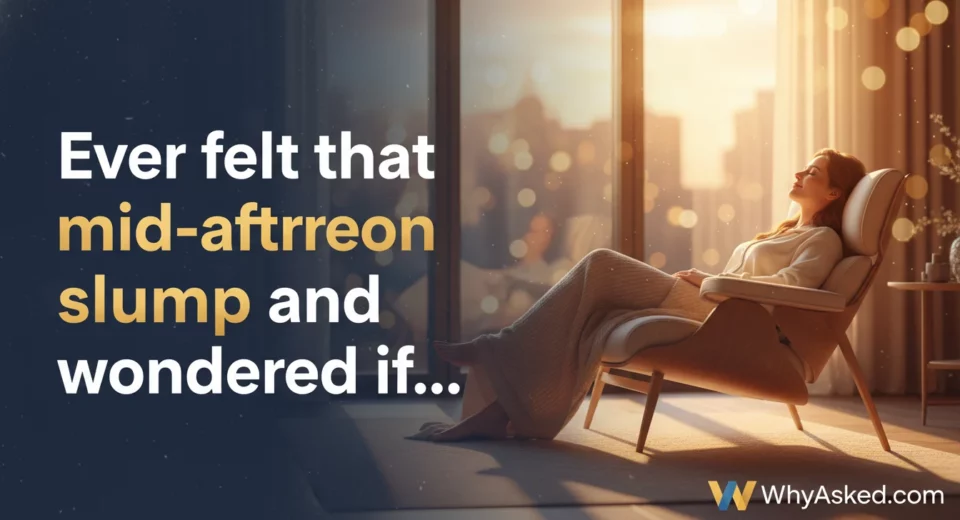 Why-Do-Naps-Help-Sometimes-A-Simple-Explanation